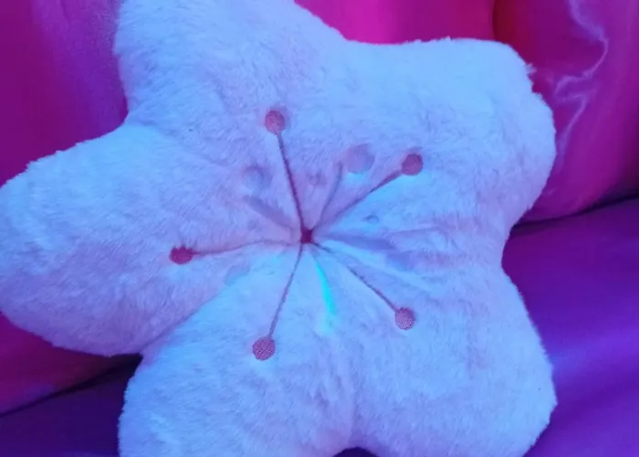 Les Cites Romance Le Tokyo Apartman Carcassone